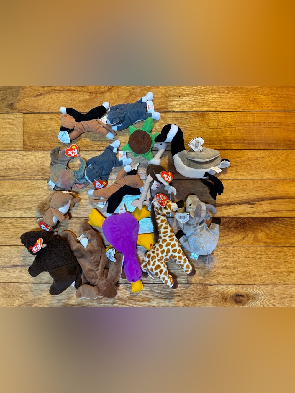 Lot of Ty Beanie Babies
